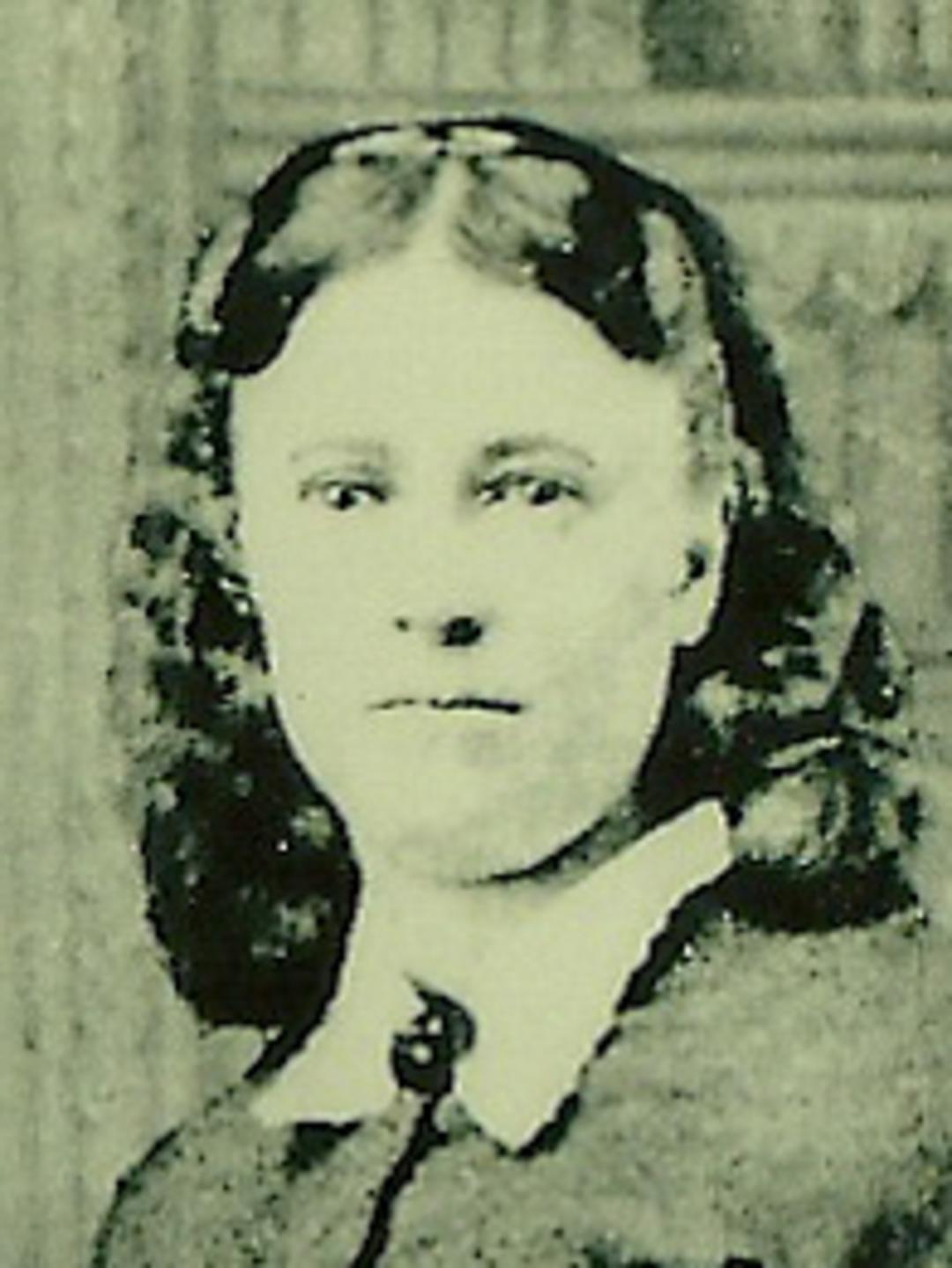 Ann Ellis (1851 - 1928) Profile